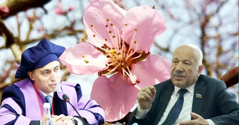 Səyyad müəllim, bir az da səbr edin, şaftalı çiçək açanda Emin Əmrullayevi taparsız Təklif