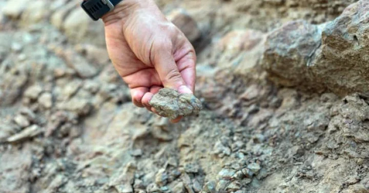 Zəylik Alunit yataqları üçün yeni sənaye planı