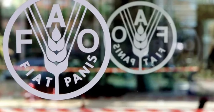 FAO помогает Азербайджану вывести контроль качества семян на международный уровень