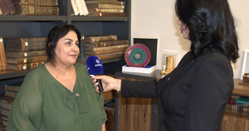Professor: İşğal dövründə Bəsitçay çinar meşələrinə ciddi ziyan vurulub