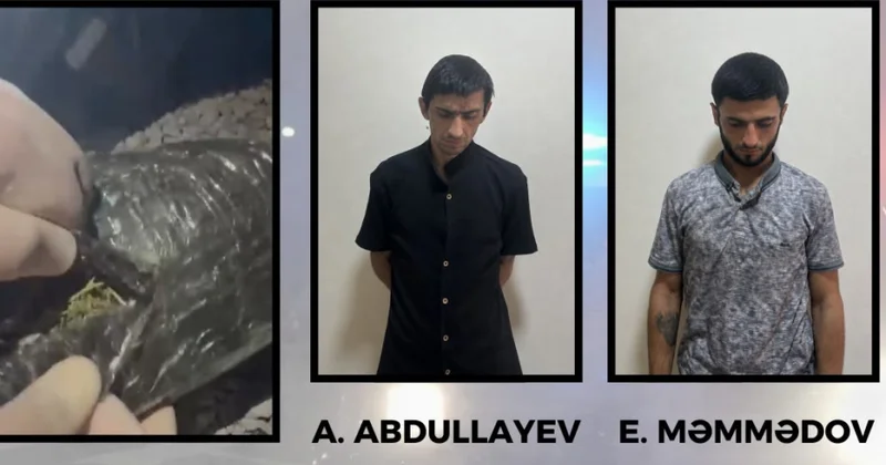 Göyçayda narkotiklərin satışı ilə məşğul olmaqda şübhəli bilinən şəxslər saxlanılıblar