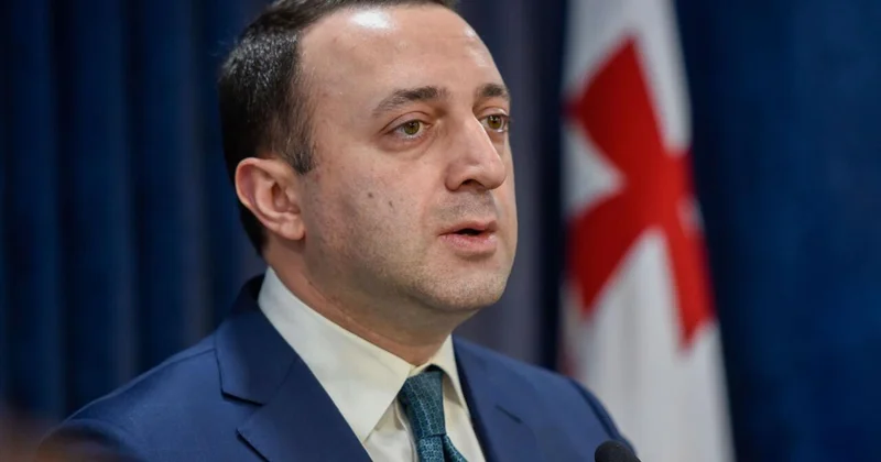 Qaribaşvili çirkli pulların yuyulmasında ittiham olunur