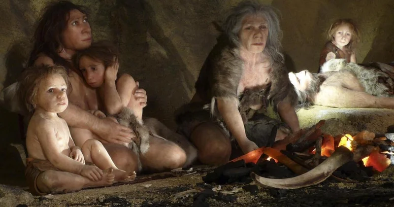 “Neandertallar niyə yox oldu?” sualına yeni cavab