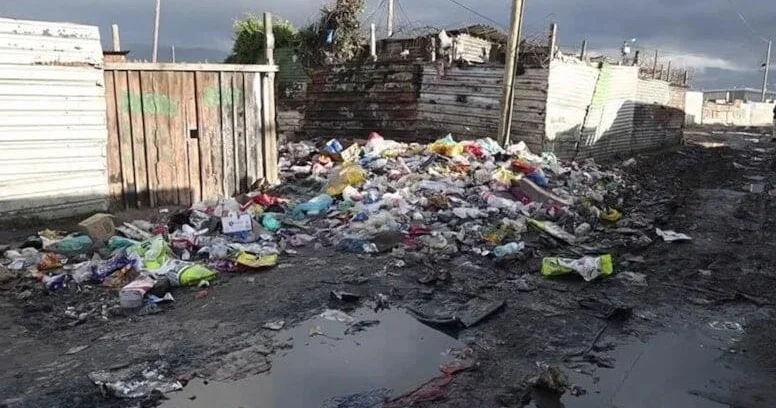 Zibilliyi fürsətə çevirdilər Çinli cütlük milyarder oldu