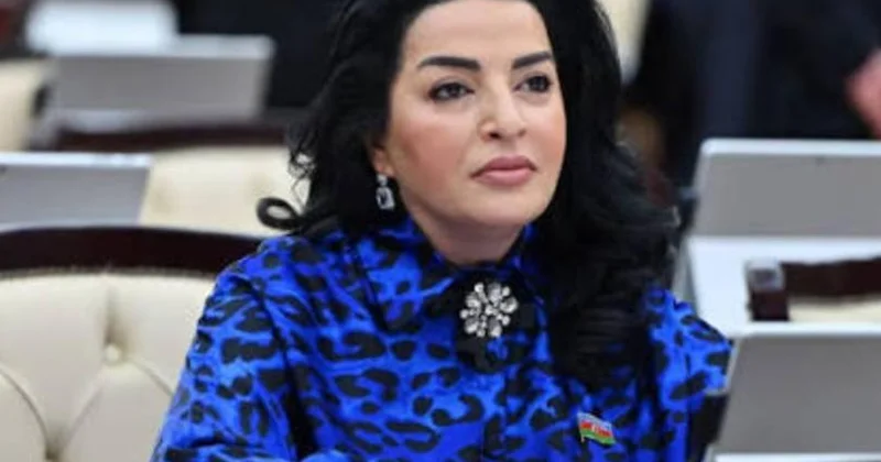 Azərbaycan sülhsevər siyasət yürüdür Millət vəkili