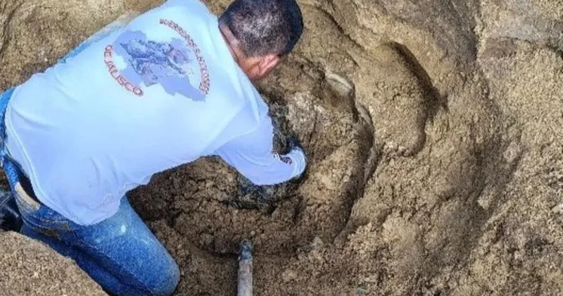 Meksikada insan qalıqları olan çantalar aşkarlandı