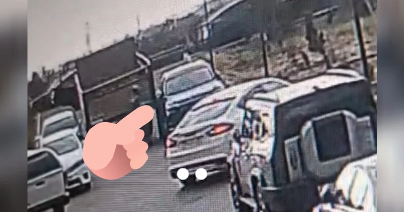 Yaşıllaşdırma nın əməkdaşları Jurnalistlər binası sakininin maşınına zərər vurublar Birlikdən isə... (VİDEO, FOTO)