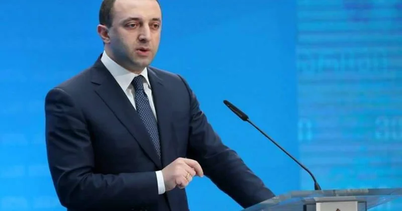 Qaribaşvili 367 min dollar girov qoydu, Gürcüstandan çıxışı qadağan edildi
