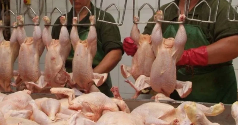 Toyuq ətinə tələbat kəskin artdı: bahalaşma olacaq? Açıqlama