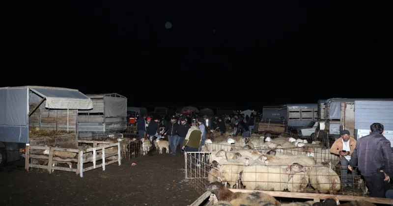Biləsuvarda yerləşən heyvan bazarında nöqsanlar aşkarlanıb