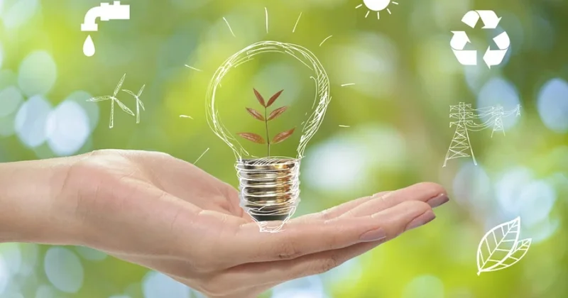 Tədqiqat: Əvvəllər məlum olmayan mikroorqanizm qida tullantılarını enerjiyə çevirir