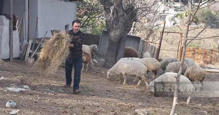 Новая жизнь в родном селе: фермер из Ханъюрду строит будущее на земле предков