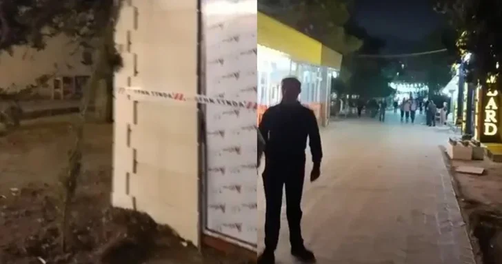 В Сумгайыте срубили восемь деревьев и установили киоск: материалы готовят для Генпрокуратуры