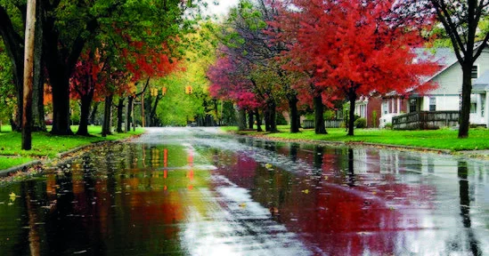 Bakıda yağmursuz, rayonlarda yağış, dolu, dağlarda qar...