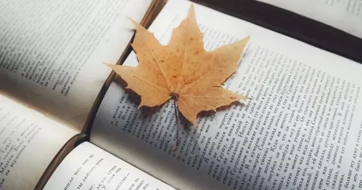 Kitab oxuyarkən buraxdığımız səhv Alimlər xəbərdarlıq edir