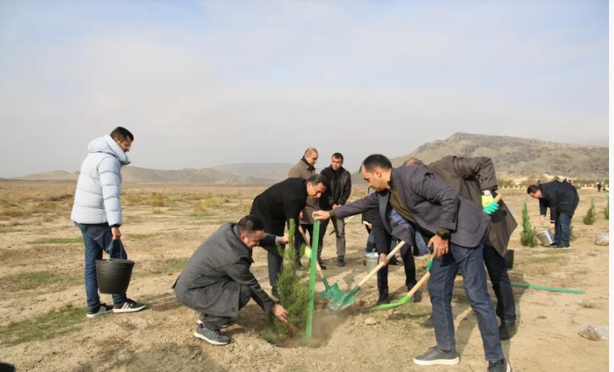 Mədəniyyət Nazirliyi Qobustan qoruğunda yaşıllaşdırma aksiyası keçirdi FOTO