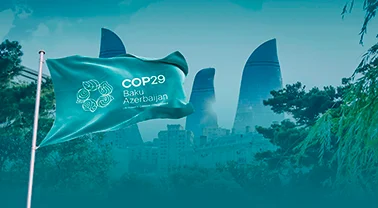 COP29da mühüm mövzular müzakirə olunub