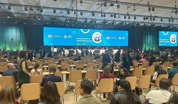 COP29un bağlanış plenar sessiyası başa çatdı VİDEO