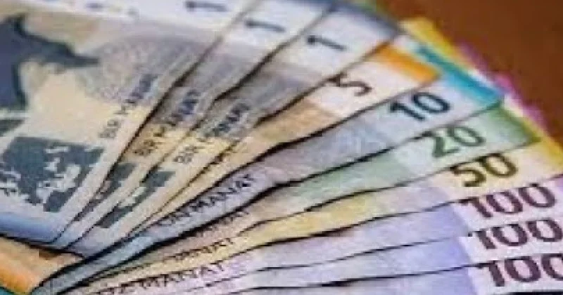 Paytaxtın ayrı ayrı rayonlarında oğurluq edənlər saxlanılıblar