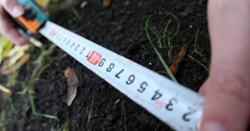 Torpaq sahələri ucuz qiymətə satışa çıxarıldı ƏRAZİLƏR