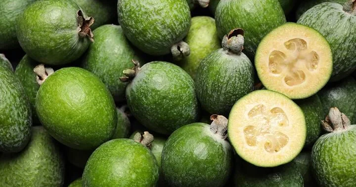 Половина суточной нормы йода: диетолог Соломатина рассказала о пользе фейхоа