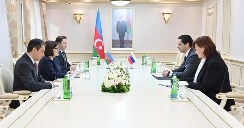 Azərbaycan və Slovakiya parlamentləri əlaqələrin inkişafını müzakirə edib