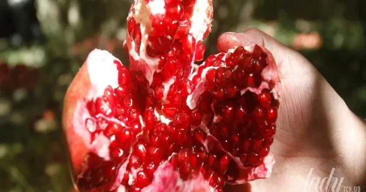 Nar həqiqətən qocalma əleyhinə qidadırmı?