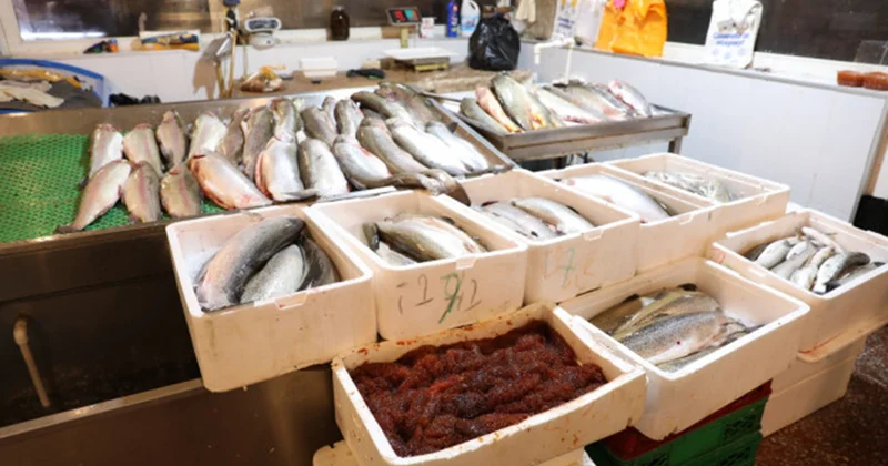 “8 ci km” bazarında quş kəsimi yeri bağlandı Fotolar