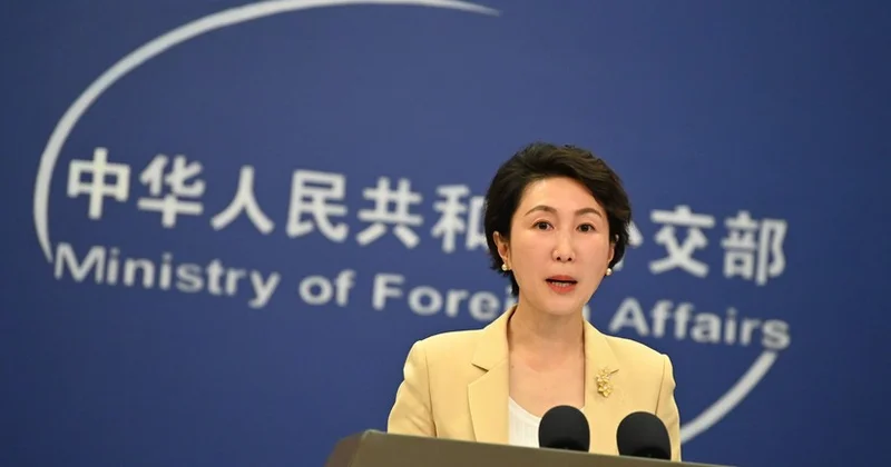 Çin Yaponiyanın Tayvan planlarını təxribat adlandırıb