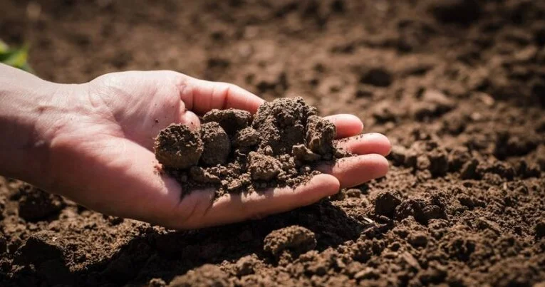 Azərbaycanda növbəti torpaq hərracları elan edilib