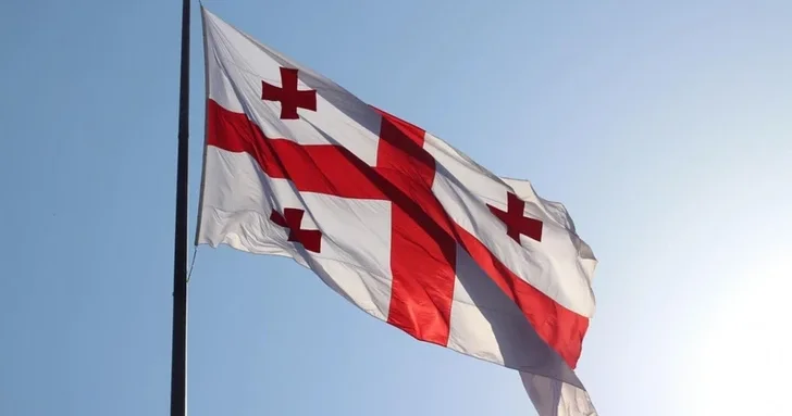 Грузия приняла председательство в ПА ОЧЭС