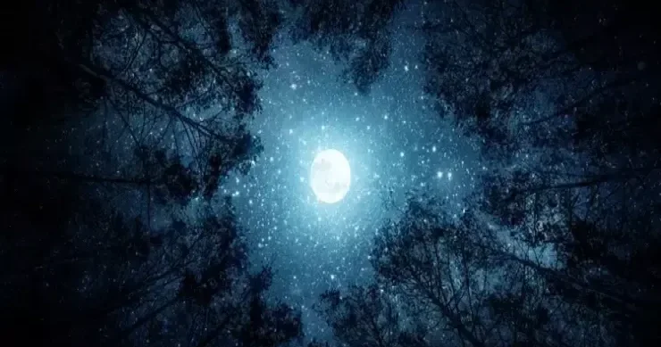 Noyabrın son həftəsində səmaya diqqətlə baxın: 15 gündə böyük sınaqdan keçəcək BÜRCLƏR