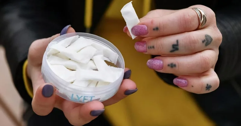 Göbələkdən hazırlanan bu qida TƏHLÜKƏ SAÇIR KONKRET