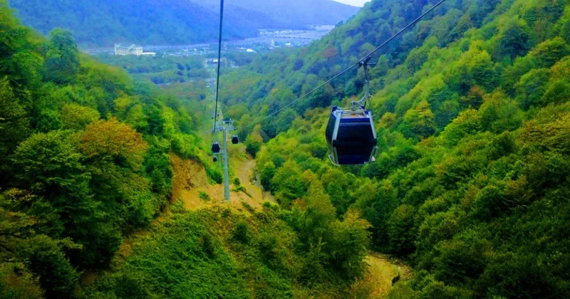 В Азербайджане станет больше лесов