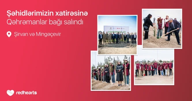 Qəhrəmanlar bağı layihəsi: Şəhidlərin xatirəsinə 543 ağac əkildi