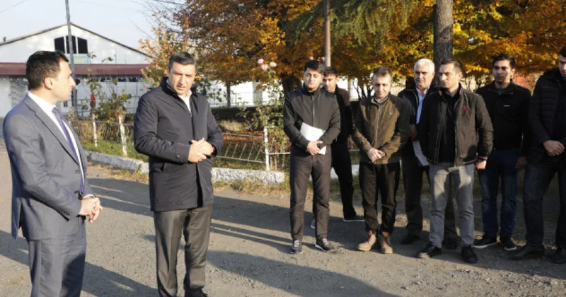 Zaqatalanın kəndlərində qəhvəyi mərmər bağacığı ilə mübarizə tədbirləri gücləndirilir