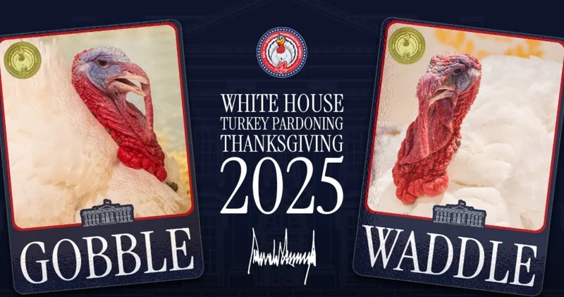 Трамп подарит жизнь двум индейкам Minval Politika