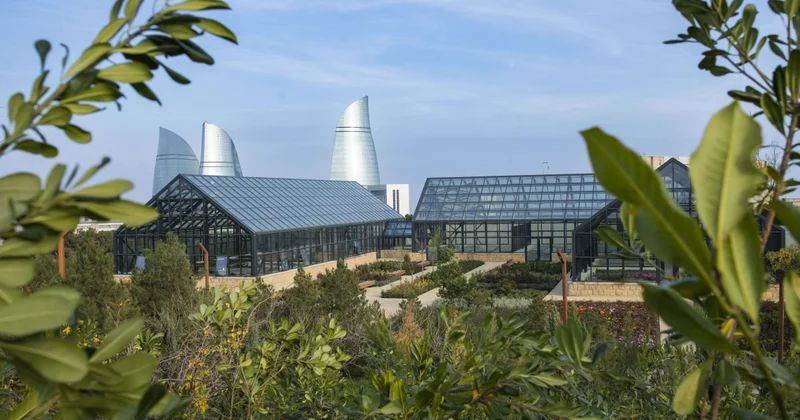 Как Азербайджан снижает углеродный след промышленности