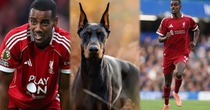 Ölümlə hədələndi və çıxış yolunu tapdı