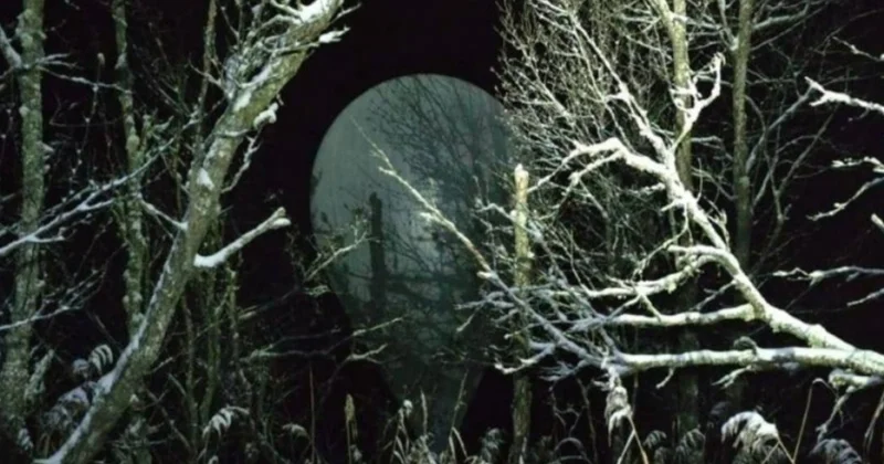 Теперь воздушные шары терроризируют Латвию