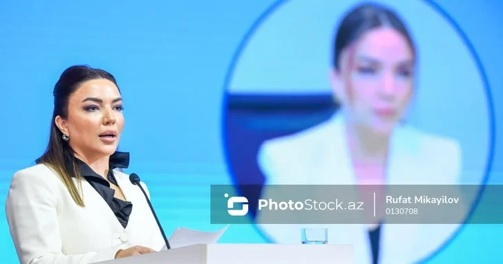 НПО Азербайджана и Узбекистана получат общую грантовую платформу