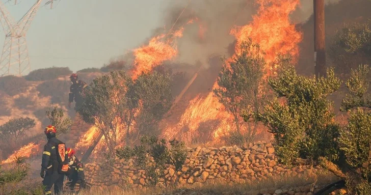 Лесной массив в огне: в Грузии развернута полномасштабная операция по тушению пожара