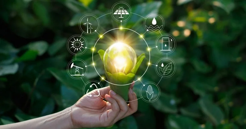 Азербайджан планирует внедрить биотопливо в транспортной сфере