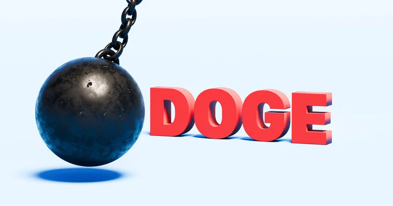 ABŞ da İlon Maskın nəzarətində olan DOGE departamenti ləğv edildi