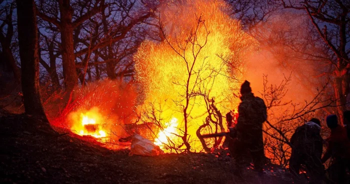 İran yardım istədi: Qədim Hirkan meşələri kül olur VİDEO