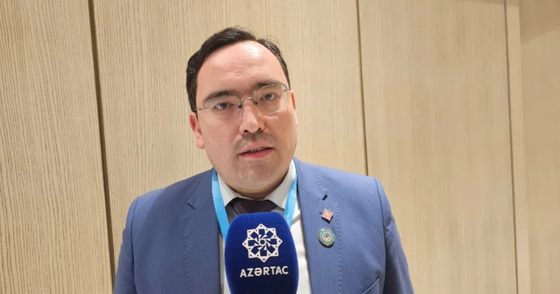 Almatı Vətəndaş Alyansının sədri: Azərbaycanla BMT nin Davamlı İnkişaf Məqsədlərinin yerli səviyyədə tətbiqi üzrə əməkdaşlıq etmək istəyirik