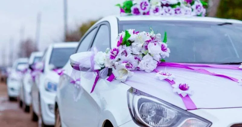 Toy karvanı avtomobillərin hərəkətini iflic etdi VİDEO