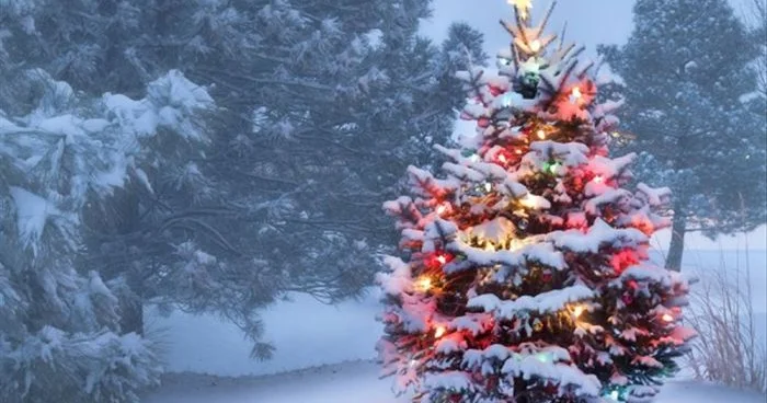 Bayramı harda keçirmək yaxşıdır: Bahalı Şamaxıda, yoxsa ucuz Dohada?