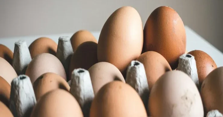 Niyə yumurtaların həmişə sivri ucu aşağı yerləşdirilir?