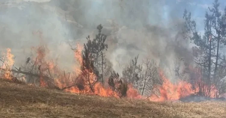 Gədəbəydə dağlıq ərazidə YANĞIN